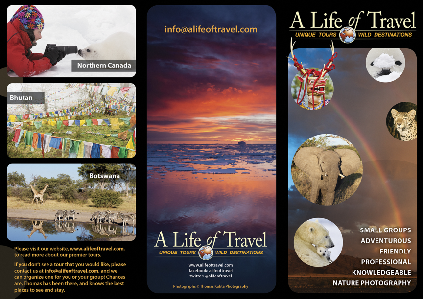 ALOT_TrifoldBrochure