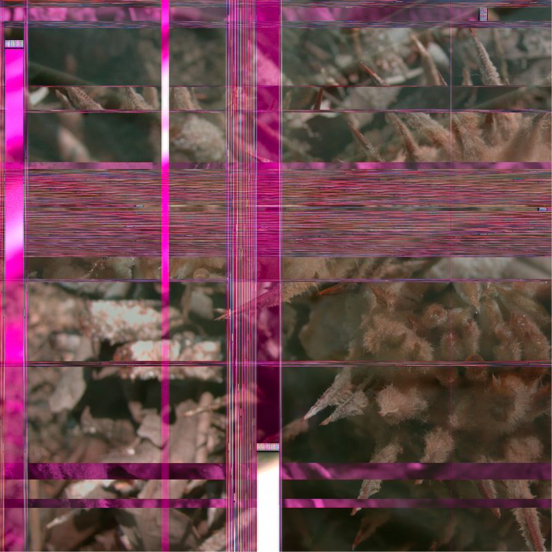 L1030572_583_596_635_636_fused_tonemapped_fusedz_