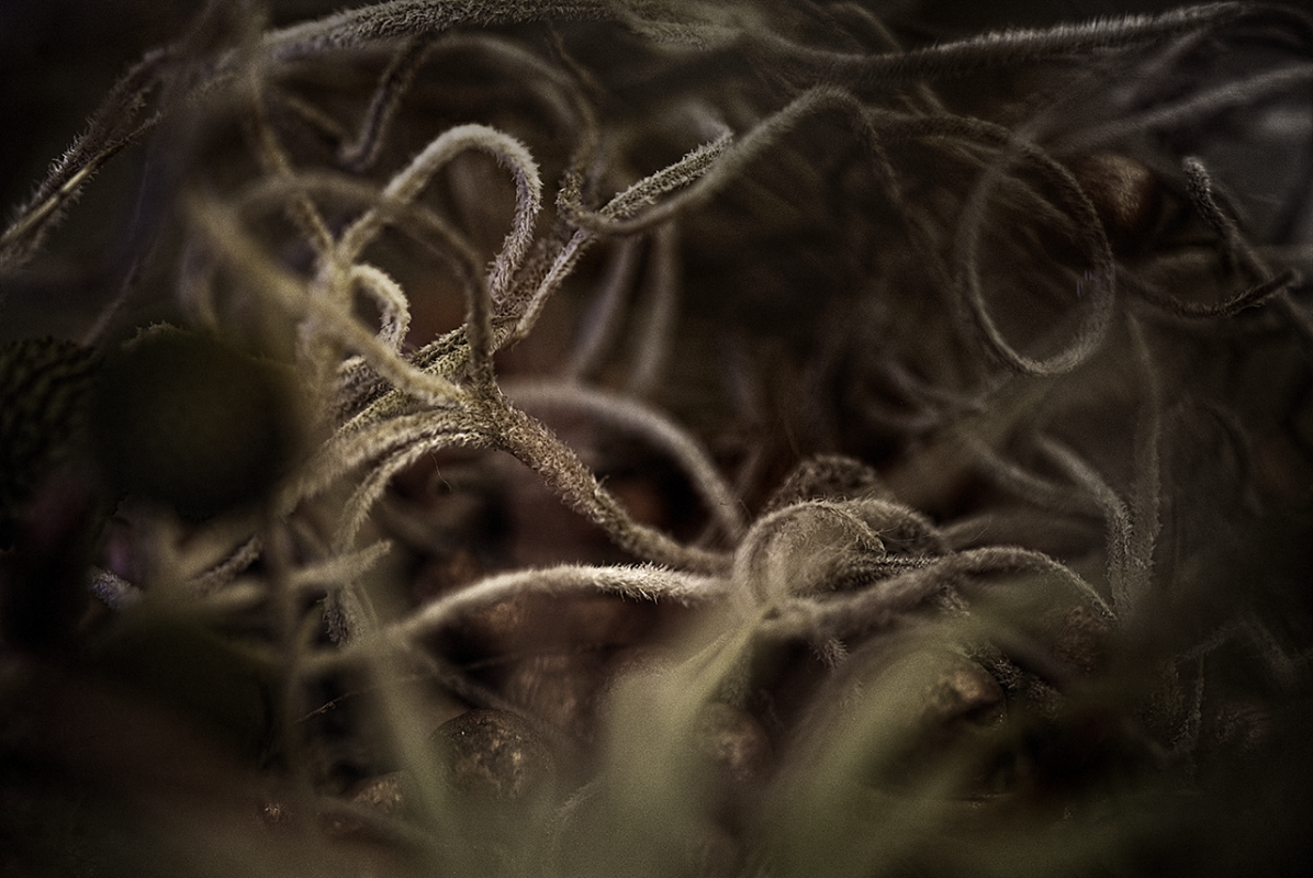 MASTER_DSF4931_2_3_L_DSF4931_2_3-2